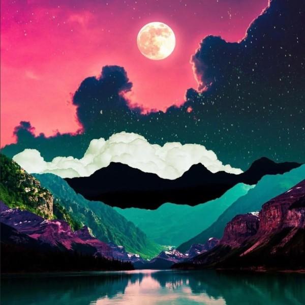 梦想的后院