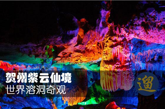 梦幻西游手游