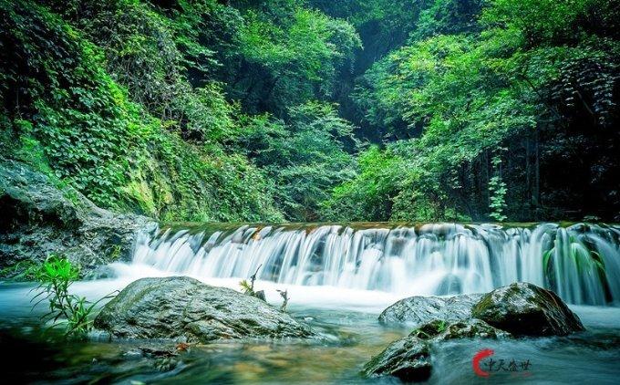 尉氏县小陈乡:小小羊肚菌 致富好产业