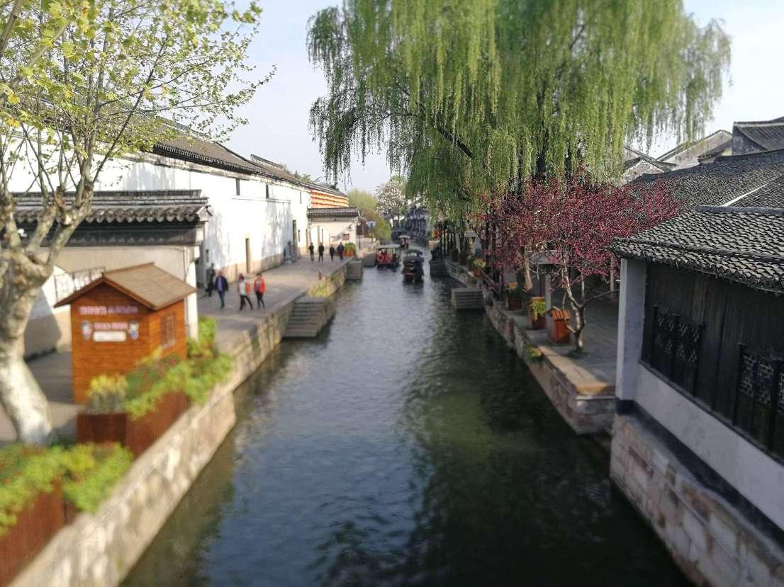 逃离蜥蜴森林
